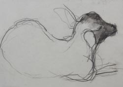 mooiste tekening